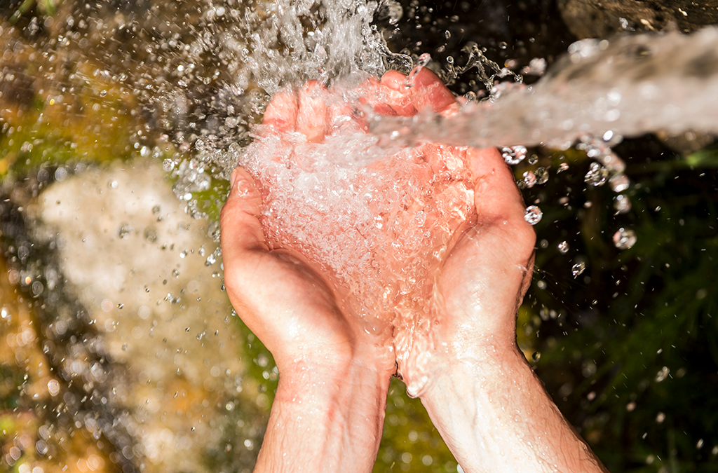 Wasser & Lebenskraft