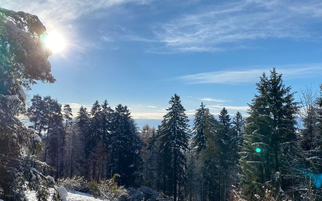 Wanderung zum Jahresausklang | 28-12-2021
