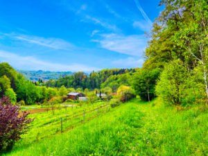 TamanGa in Gamlitz, Österreich