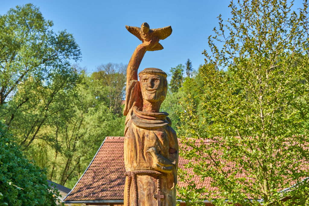 TamanGa Franziskus